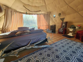 D5 Nordic Nook - 1 King Suite Drumheller